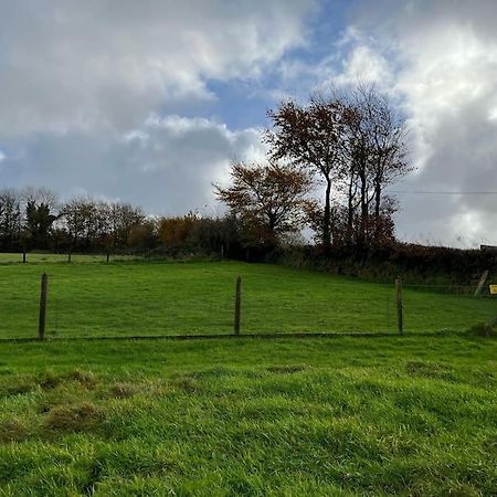 Woodland View At Hewish Mill Villa Bittadon Bagian luar foto