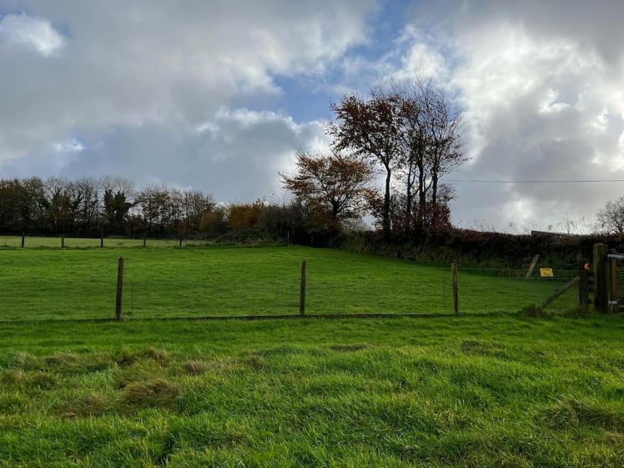 Woodland View At Hewish Mill Villa Bittadon Bagian luar foto